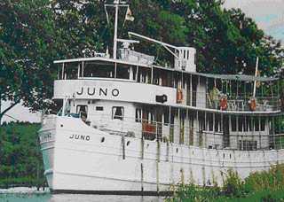 Juno Schiff